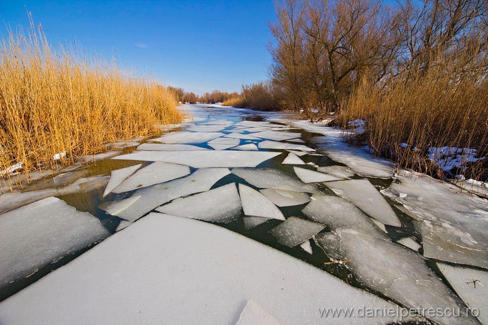 Delta Dunarii - Super Fotografii